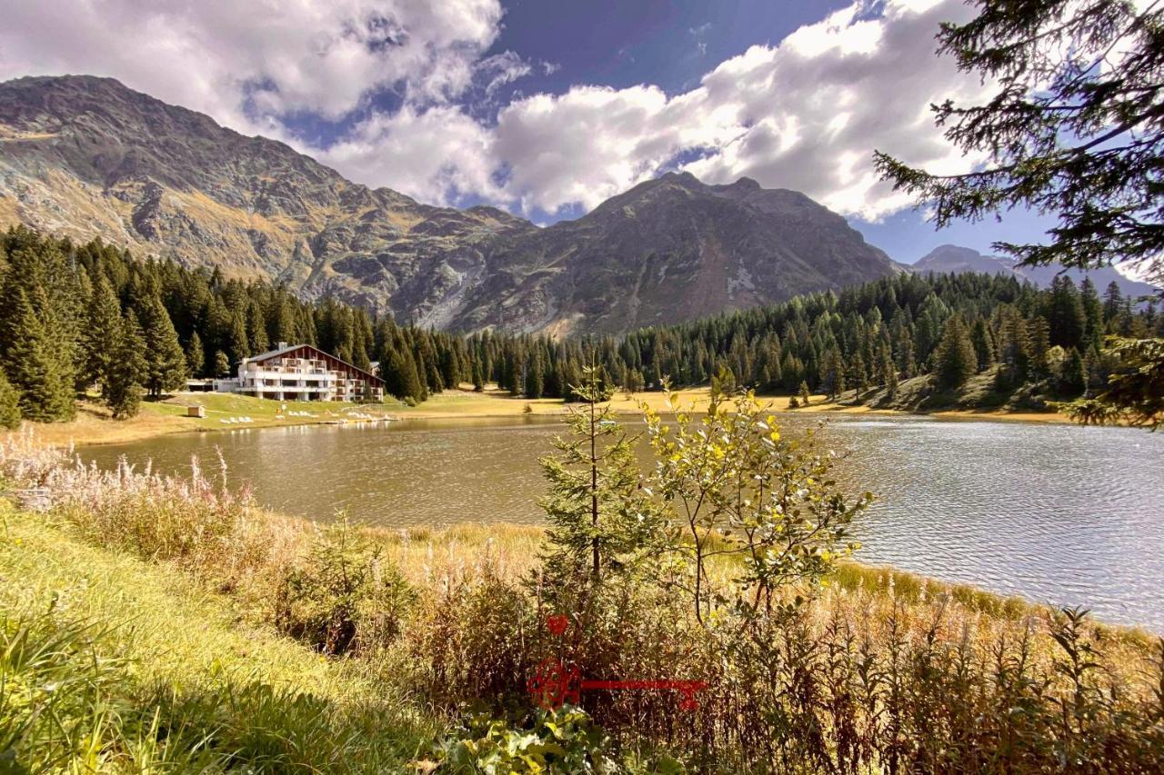 Chalet 5 Stars In San Bernardino, Ski Slopes And Hiking, Fireplace, 4 Snowtubes Free, Wi-Fi Free, For 8 Persons, Wonderful In All Seasons -By Easylife Swiss 外观 照片